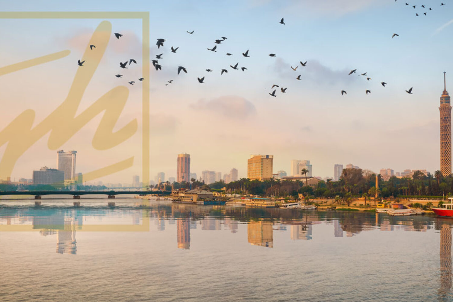 تسجيل العلامات التجارية