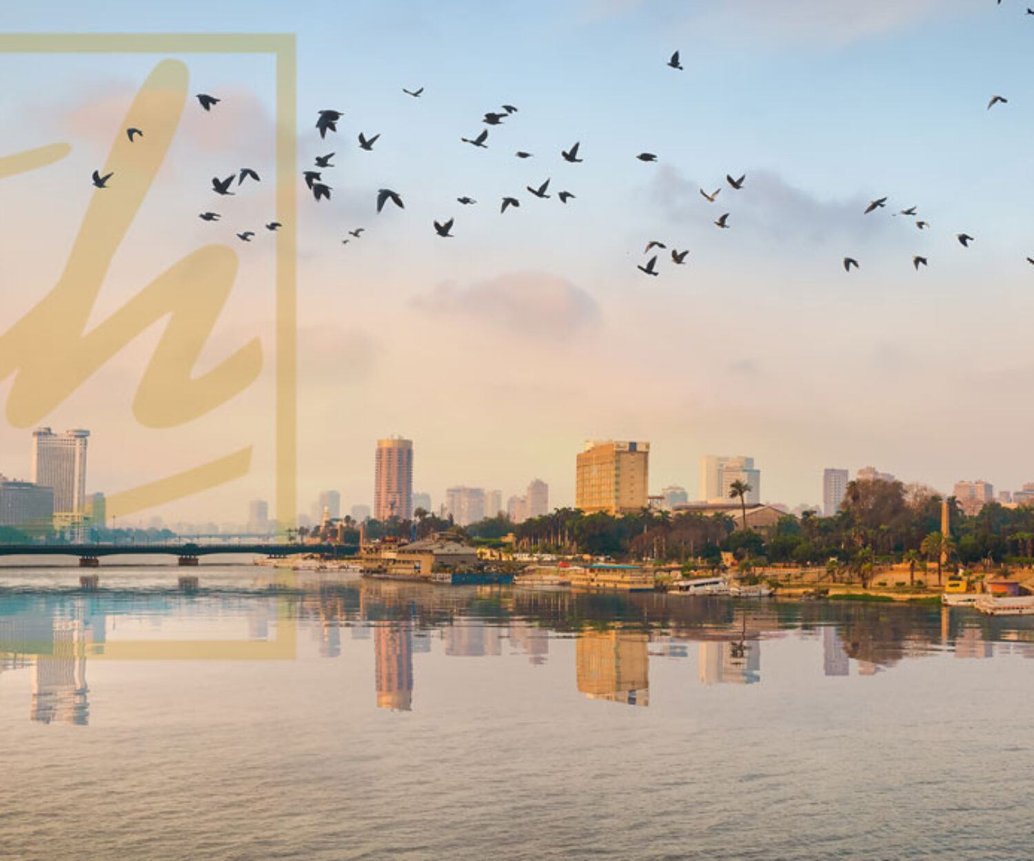 trademark-registration-in-egypt